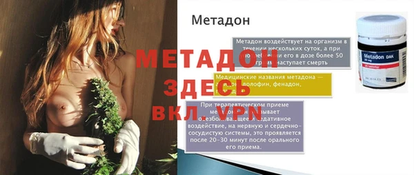 прущие грибы Богданович