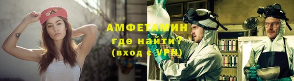 прущие грибы Богданович