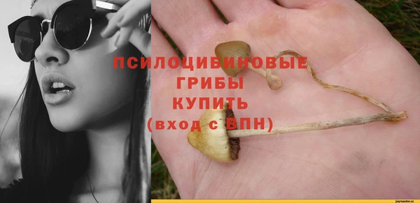 a pvp Богородск