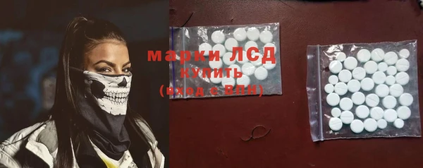 прущие грибы Богданович