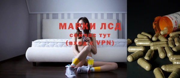 прущие грибы Богданович