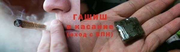 прущие грибы Богданович