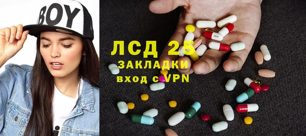 прущие грибы Богданович