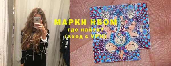 прущие грибы Богданович