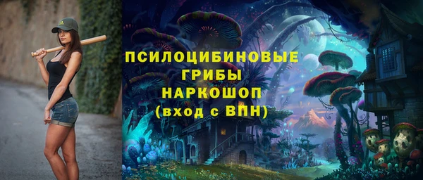прущие грибы Богданович