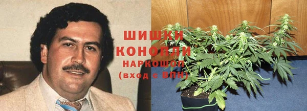 прущие грибы Богданович